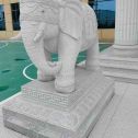 鞍山 白麻花岗岩动物异形石雕-大象