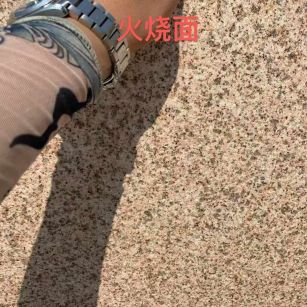 鞍山黄金麻火烧面