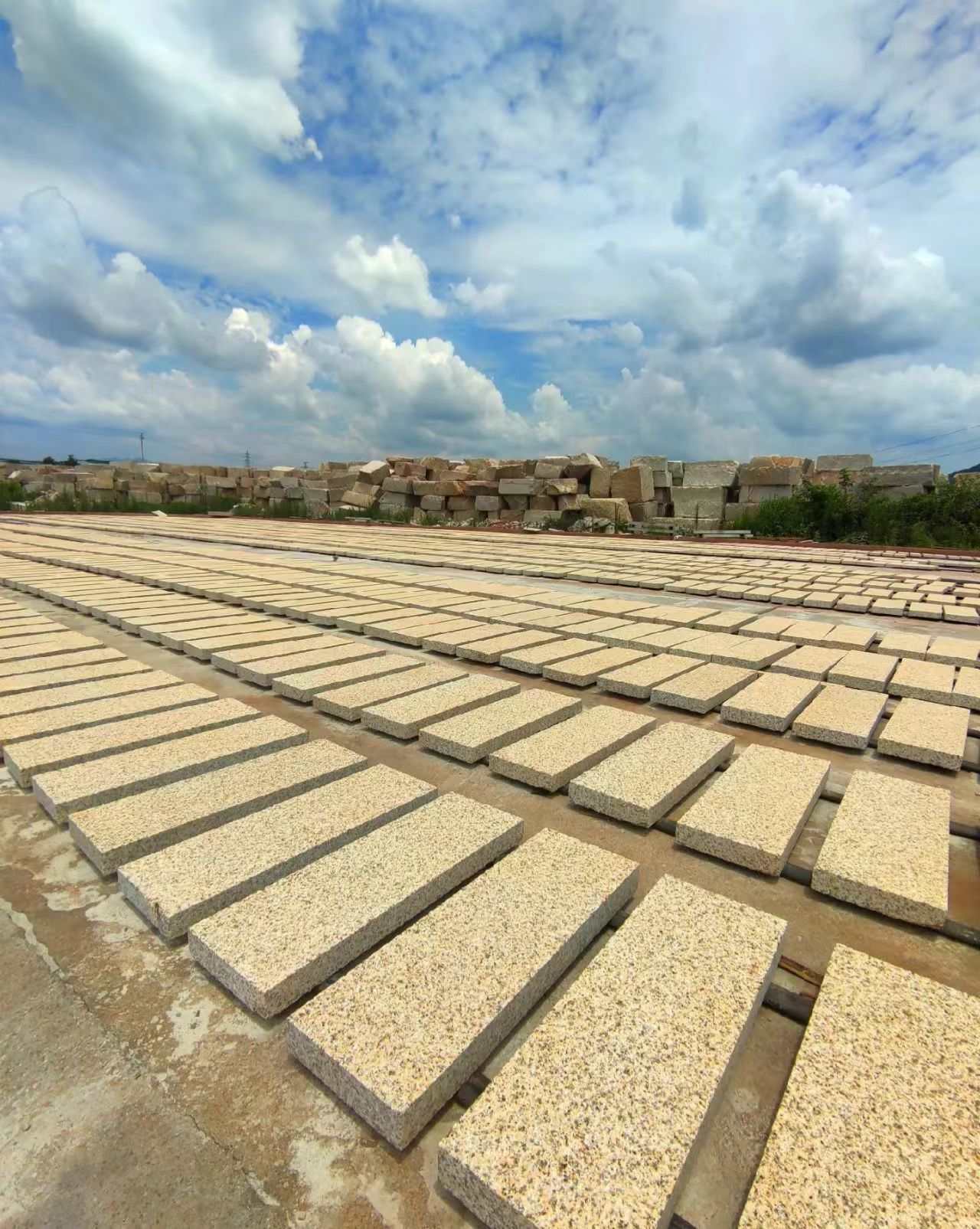 鞍山 黄金麻花岗岩荔枝面地铺石防护中